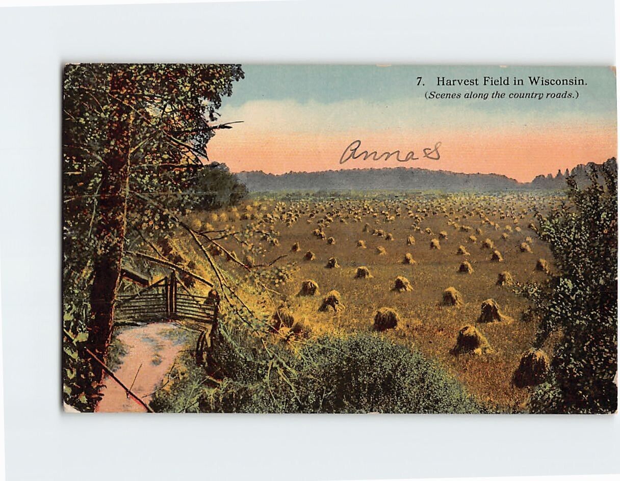 Postcard Harvest Field in Wisconsin USA