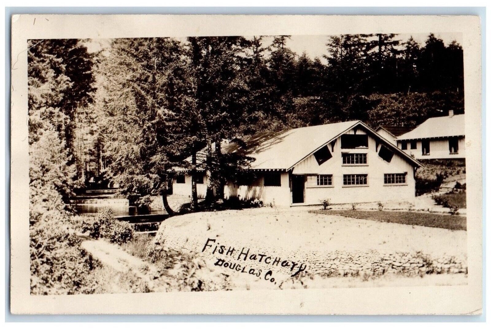 c1910\'s Fish Hatchary Douglas County RPPC Photo Unposted Antique Postcard