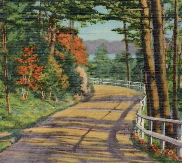 Vintage Linen Postcard Old Dirt Mountain Road Forest Trees White Picket Fence