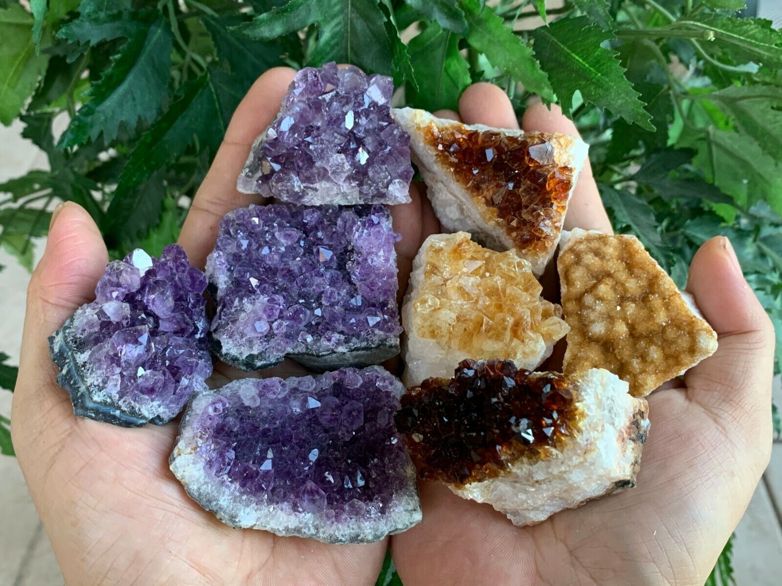 8 pieces Amethyst Citrine Cluster Druzy Collection Box: 2-3 Inch Grade A+ Geode