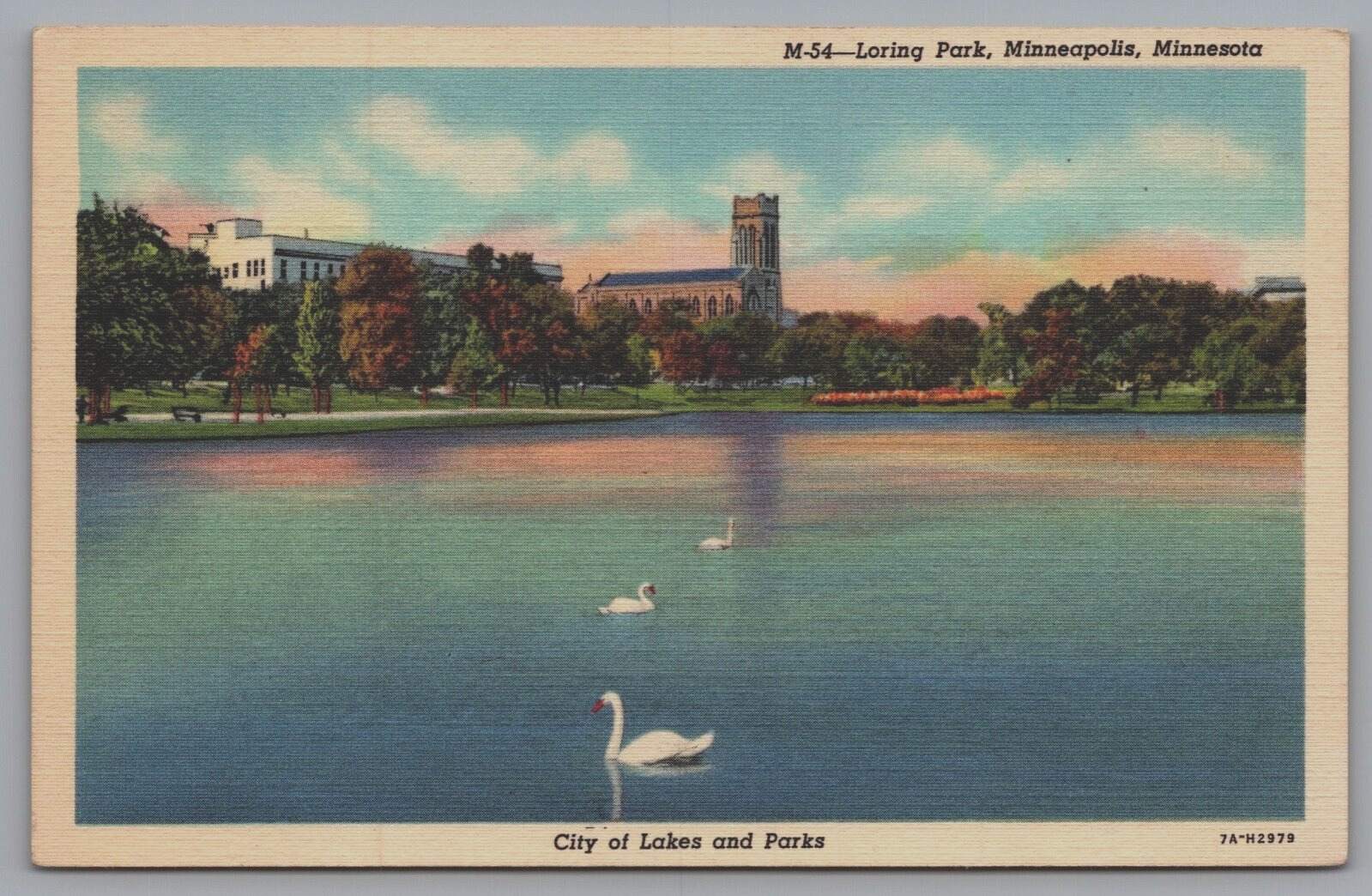 Loring Park Minneapolis Minnesota, Swans On The Water Linen Postcard