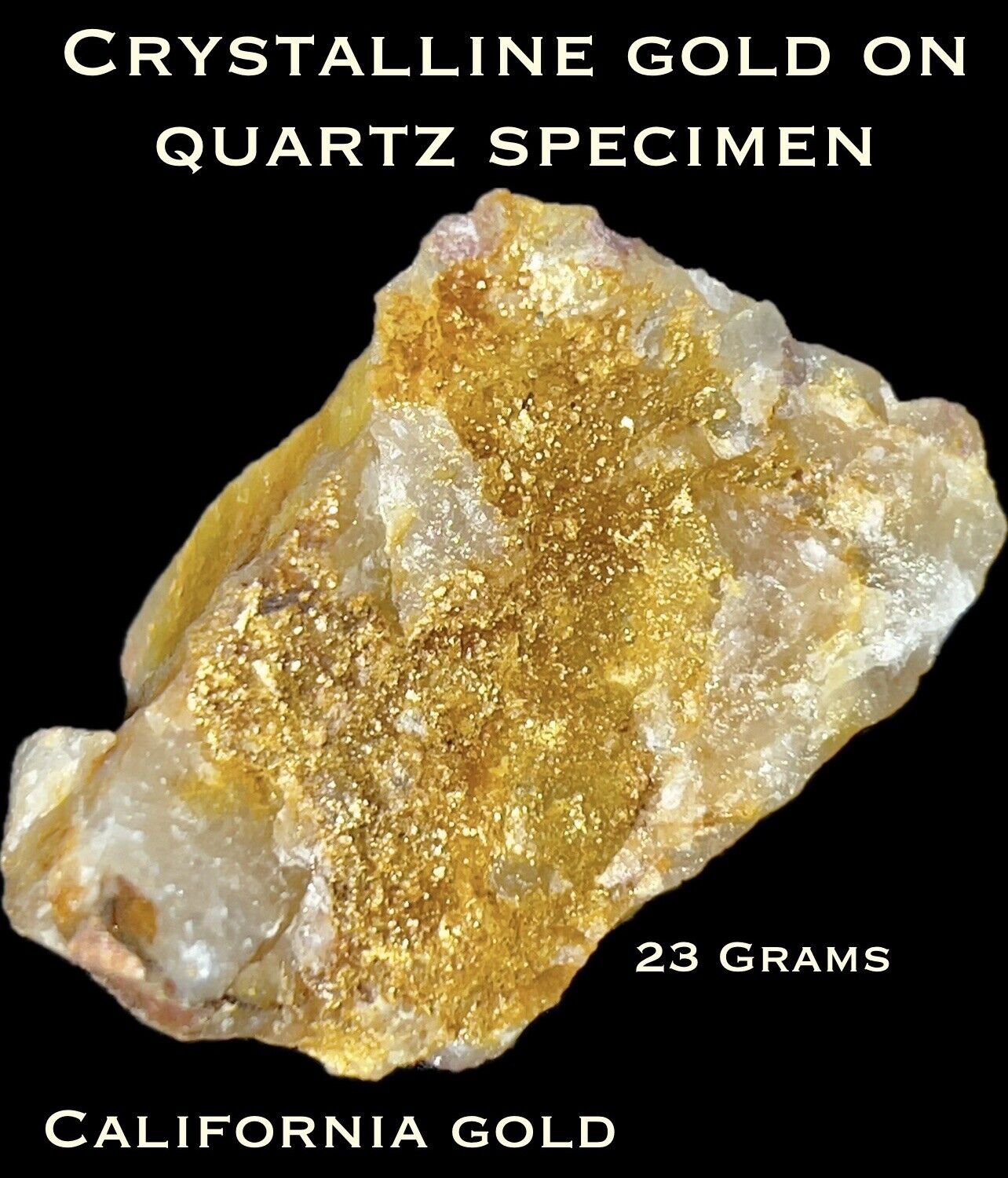 Genuine Raw Natural Gold On Quartz Specimen From California’s Mother Lode-Rare