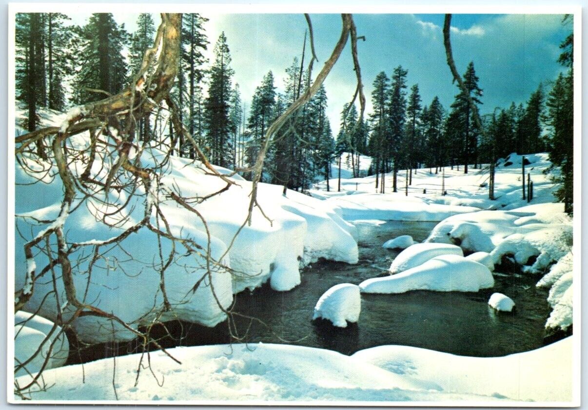 Postcard - Winter Solitude