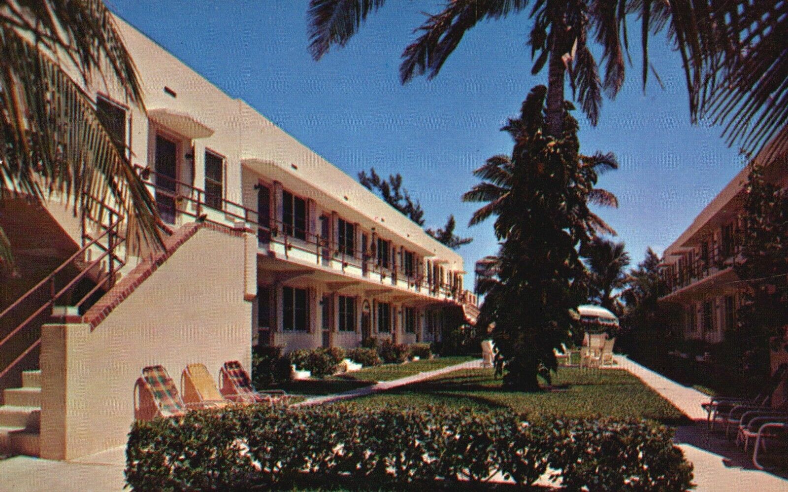 Postcard FL Hollywood Beach Florida Dolphin Apartments Chrome Vintage PC f6239