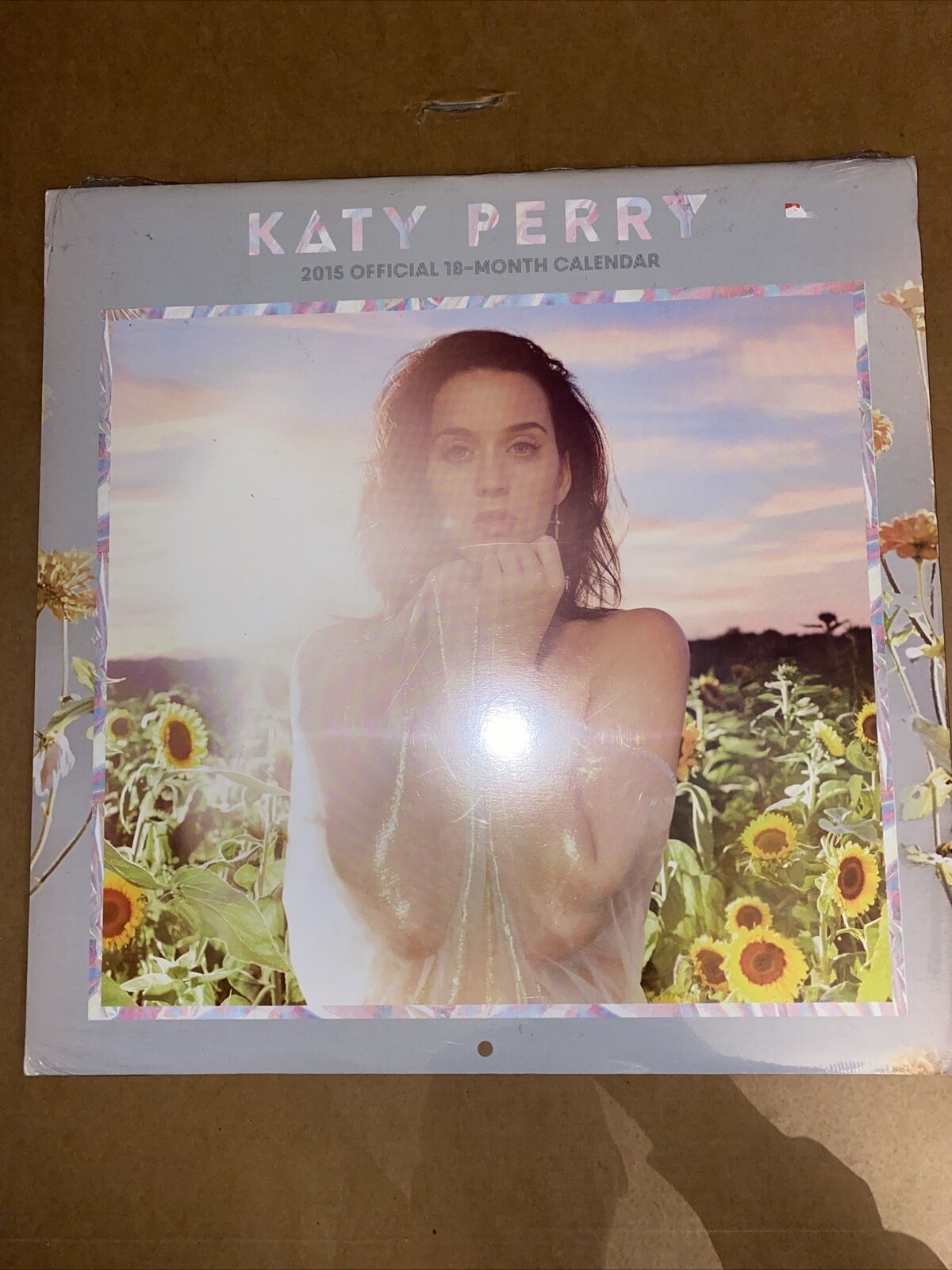 Katy Perry 2015 Official 18-month Calendar NEW SEALED COLLECTIBLE 