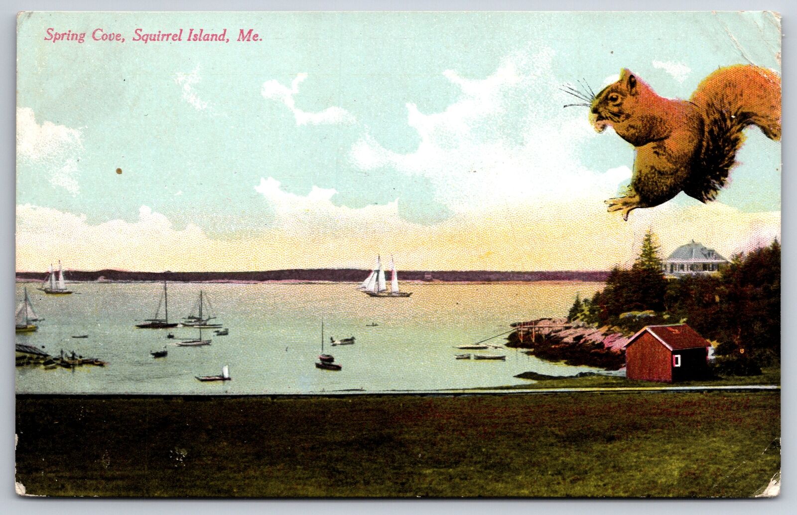 Squirrel Island Maine~Spring Cove~Sailboats~Exaggerated Squirrel Jumps~1910 PC