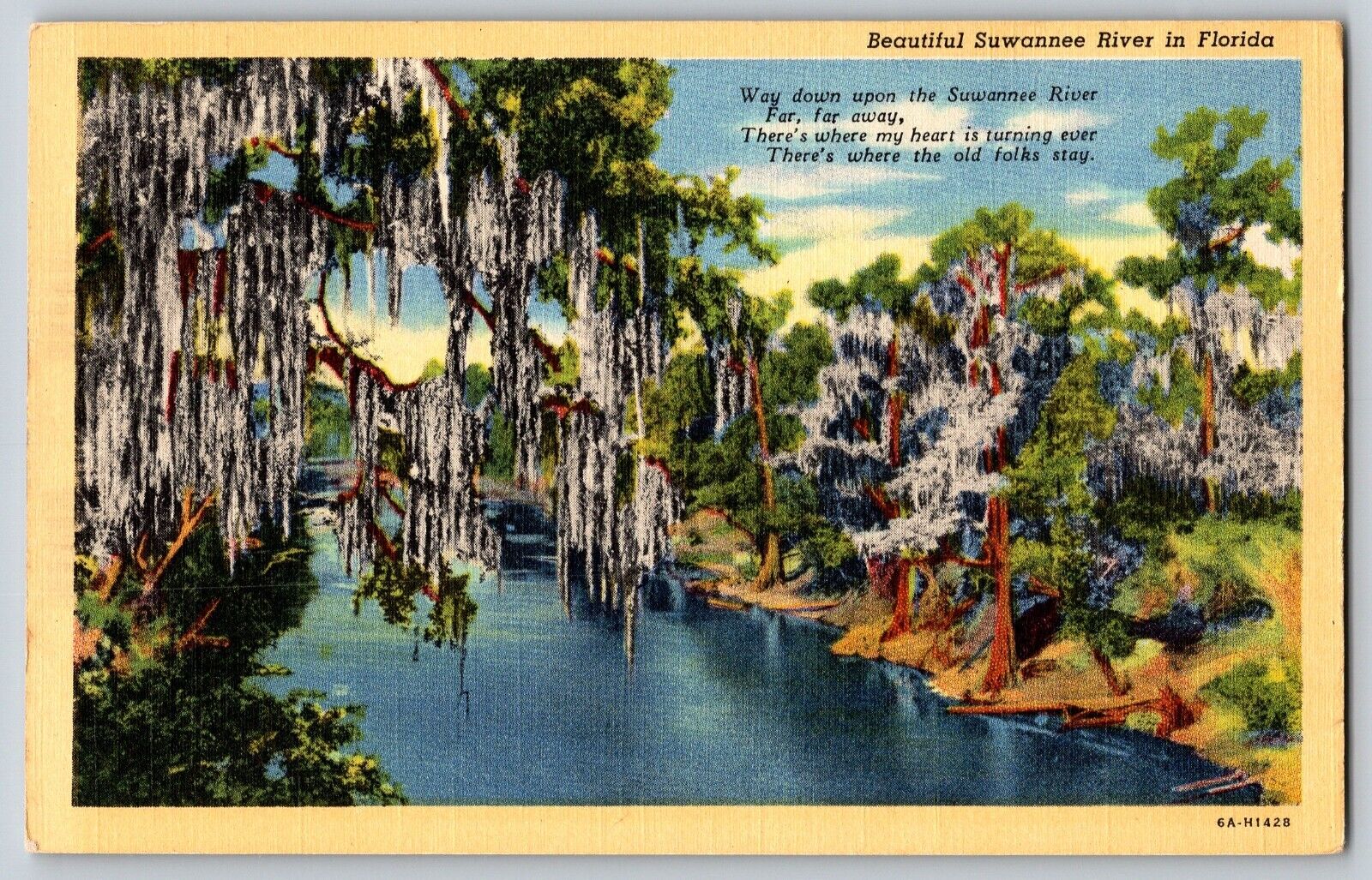 Florida FL - Beautiful Suwanee River In Florida - Vintage Postcard - Unposted