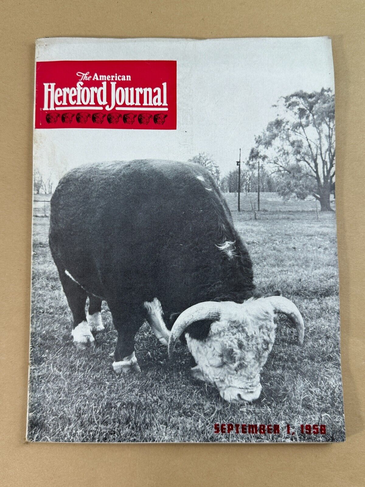 September 1, 1958 American Hereford Journal magazine - ads, articles, photos