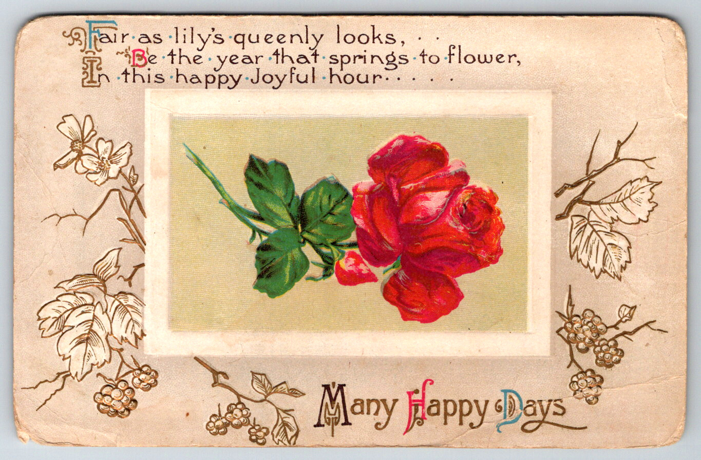 c1910s Many Happy Days Embossed Pink Flowers Antique Postcard