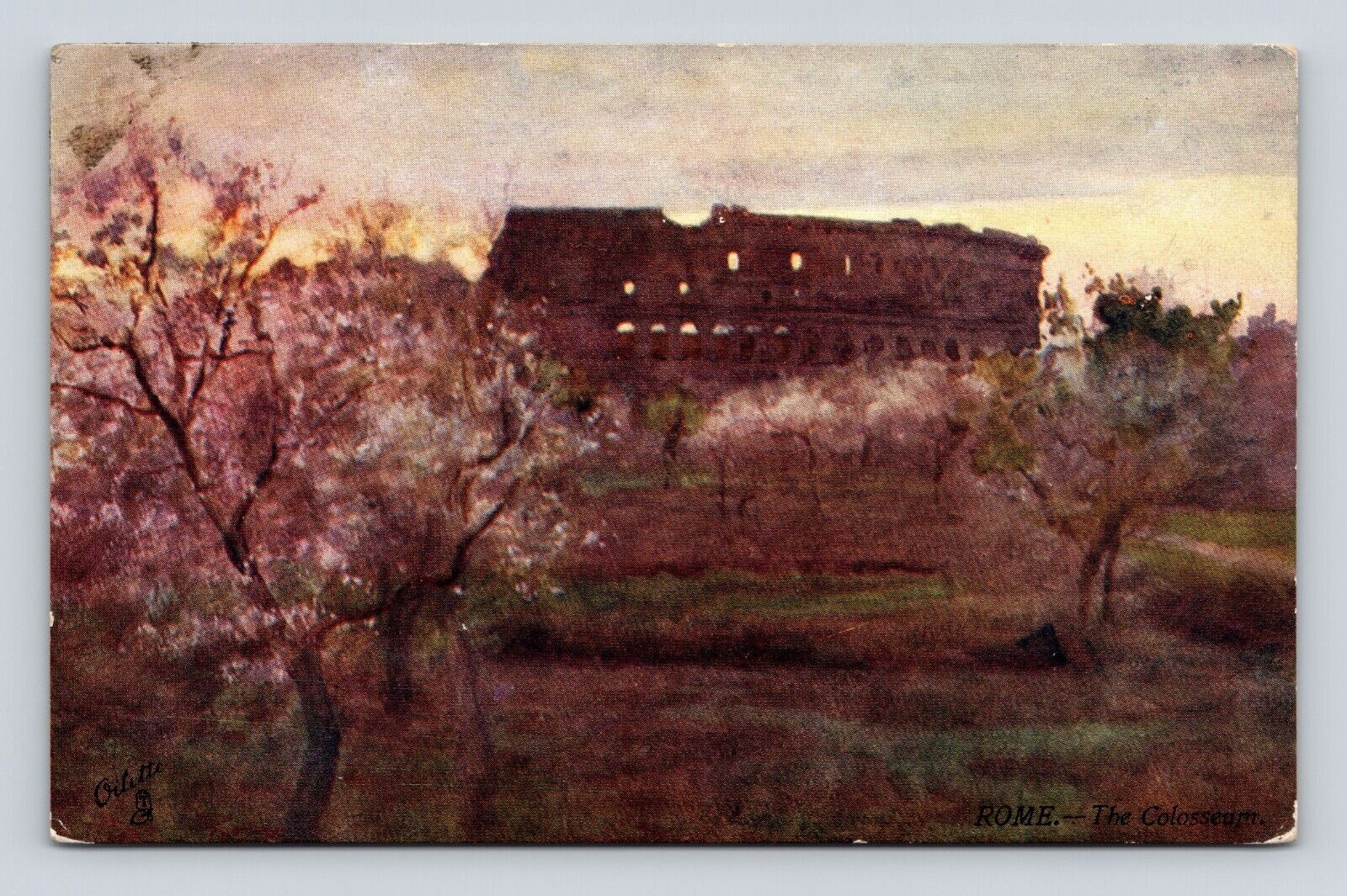 TUCK\'S Postcard Rome Coliseum Alberto Pisa Flowering Trees Sunset 1910