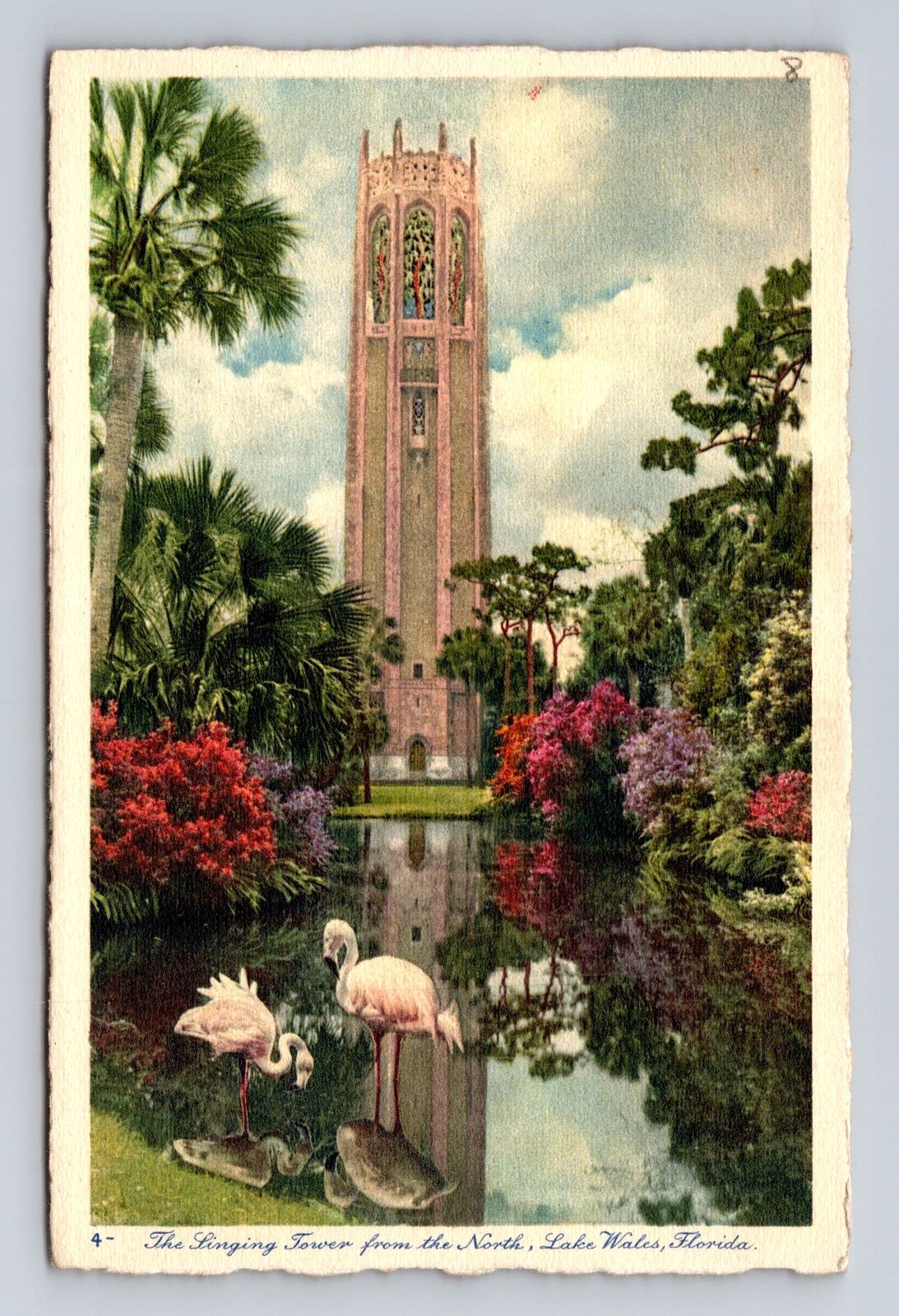 Lake Wales FL-Florida, Mountain Lake Sanctuary, Flamingos, Vintage Postcard