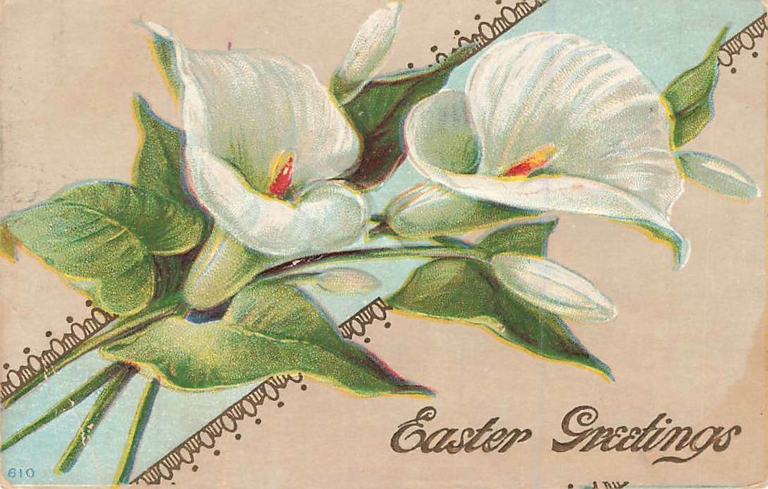 c1910 Winsch Back Lilies  Easter P161