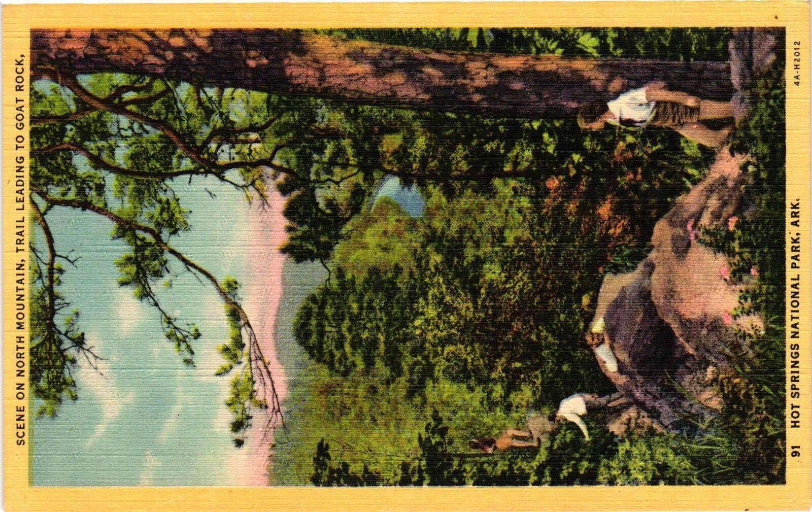 Vintage Postcard- HOT SPRINGS NATIONAL PARK, AR