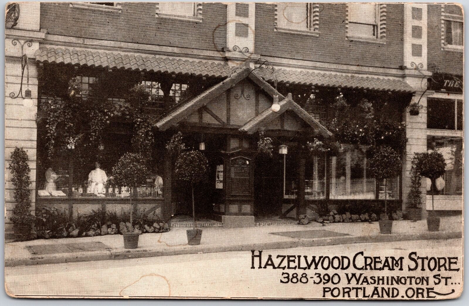 Hazelwood Cream Store Washington Street Portland Oregon OR Postcard