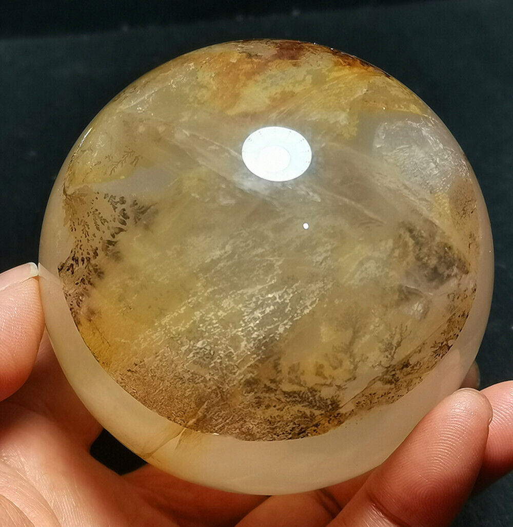 RARE 607g Natural Dendritic Quartz Transparent Mica Tree Crystal Ball  WYY1393