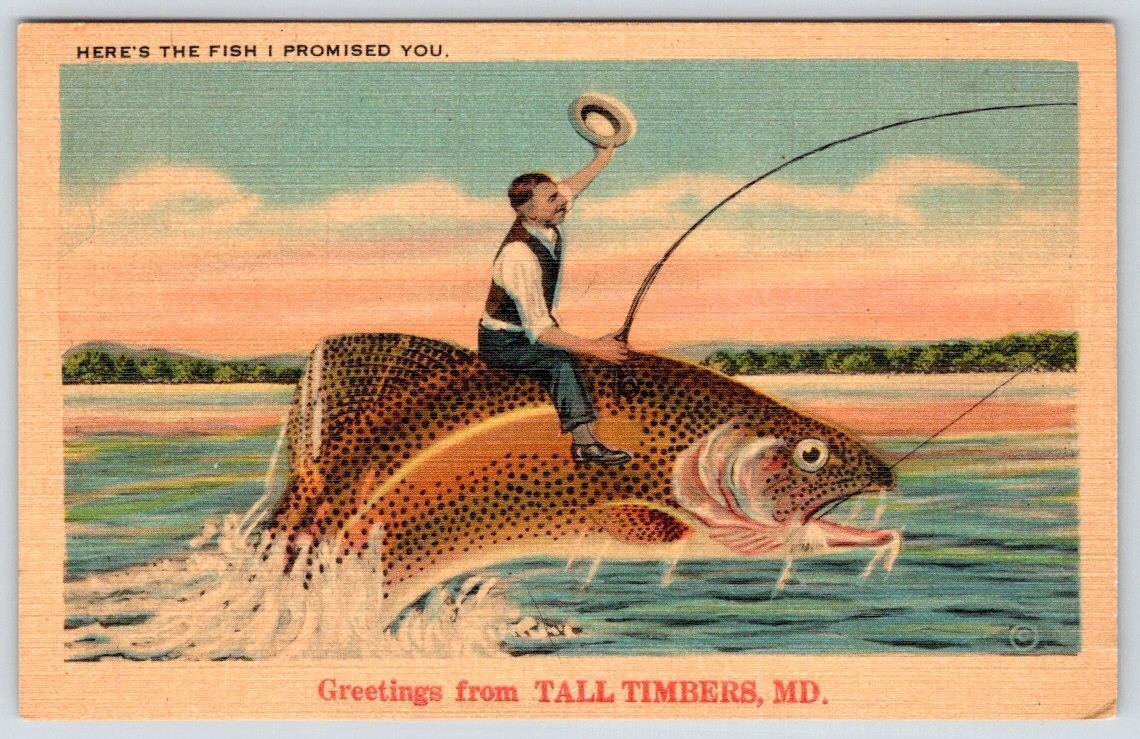 1948 GREETINGS FROM TALL TIMBERS MARYLAND MAN RIDING EXAGGERATED FISH POSTCARD