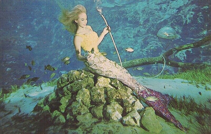 Weeki Wachee FL  Postcard Mermaid Under the Sea Unused