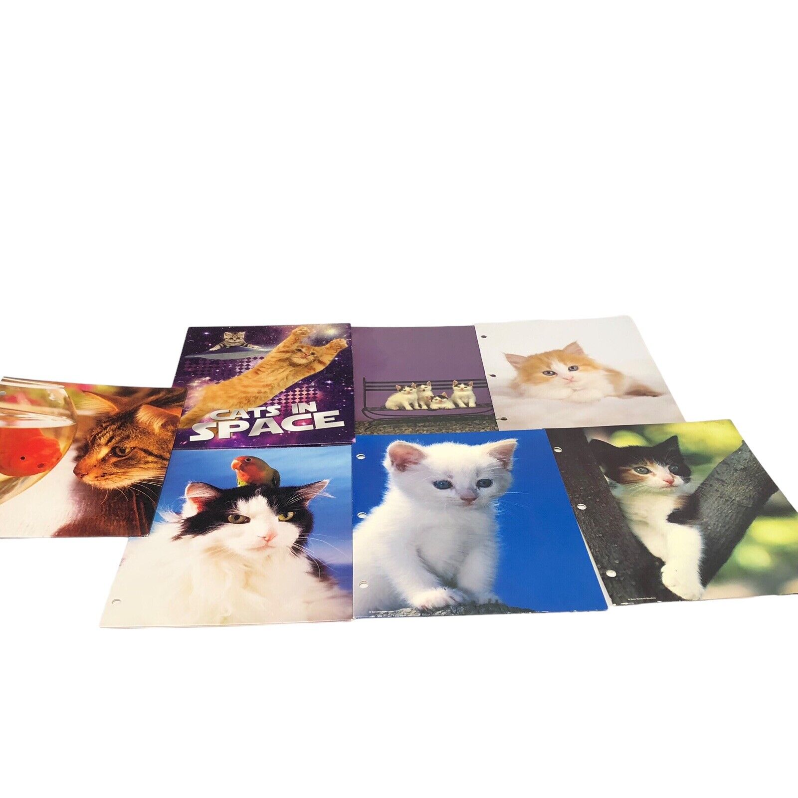 7 Vtg 2000s 2 Pocket Folder Cats & Kittens Mead Reinen Gibson Oxford Inovative