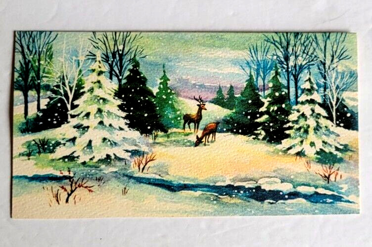 Vintage 1950s Deer In Snowy Country Blue Green Trees Beautiful Christmas Card