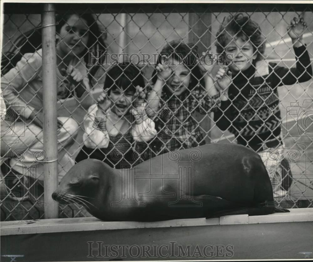1974 Press Photo Youngsters watch a seal at Pontchartrain Beach Children\'s Hour