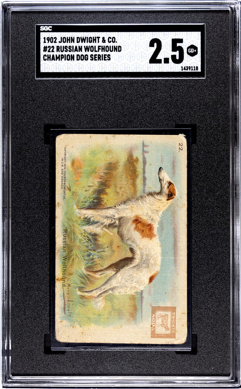 1902 John Dwight & Co. Russian Wolfhound #22 Champion Dog Series SGC 2.5