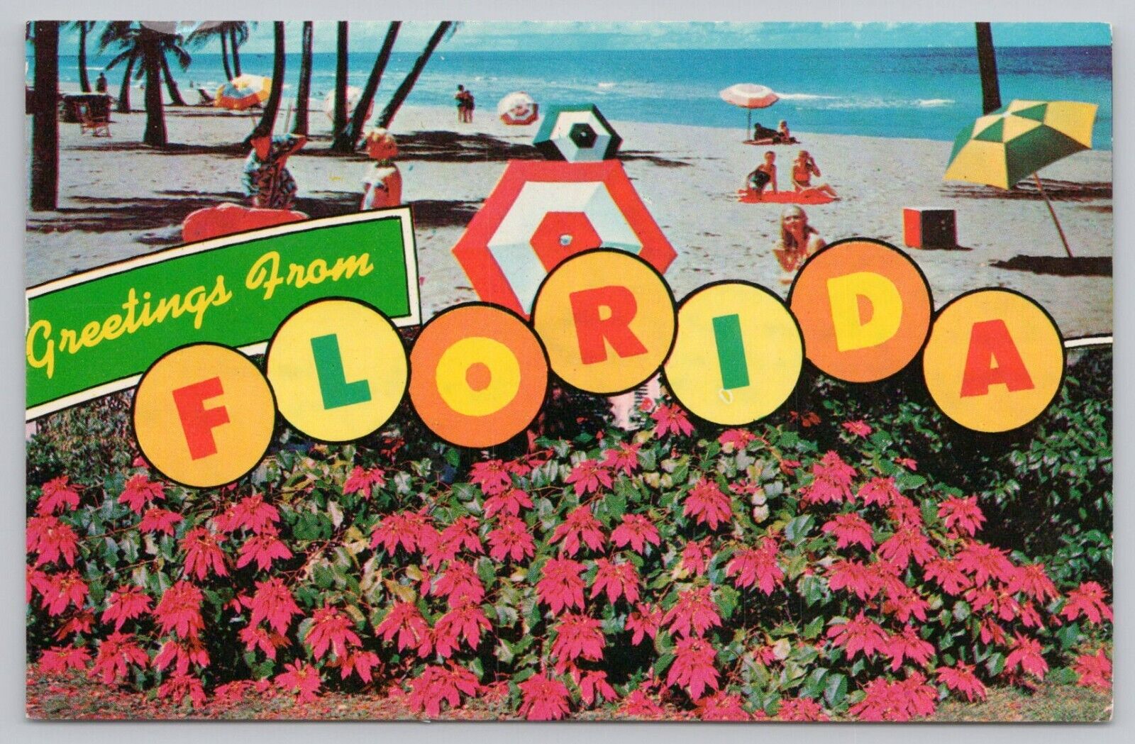 Postcard Greetings from Florida, beach scene