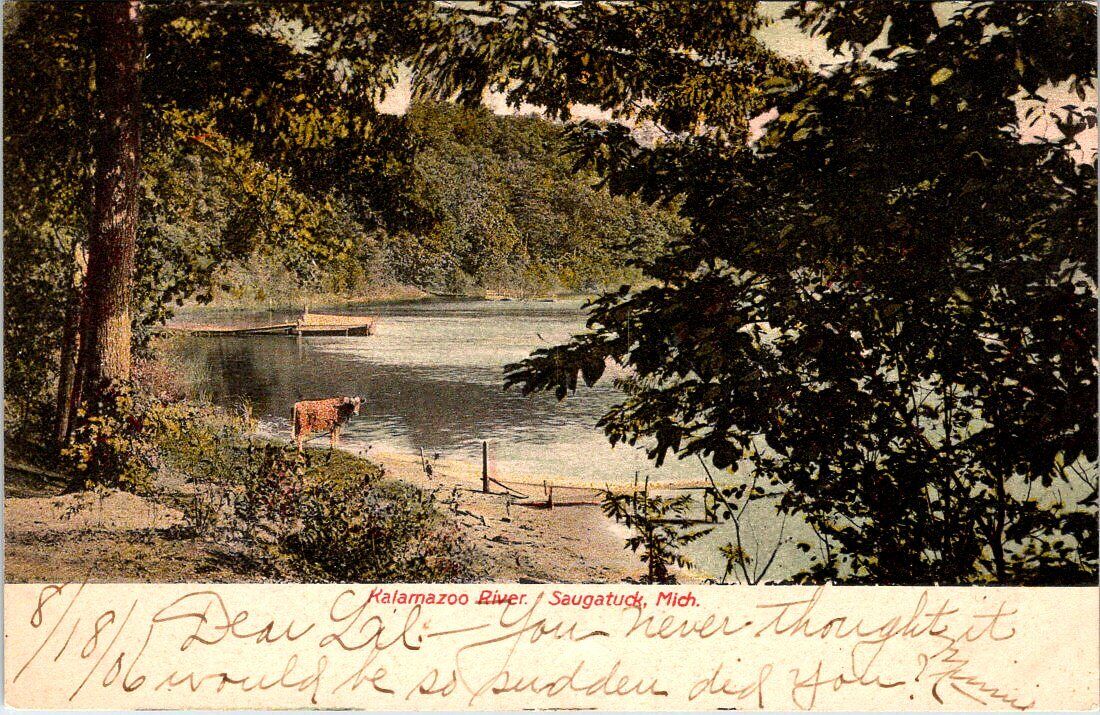 1906, Kalamazoo River, SAUGATUCK, Michigan Postcard - Bird\'s Drug Store
