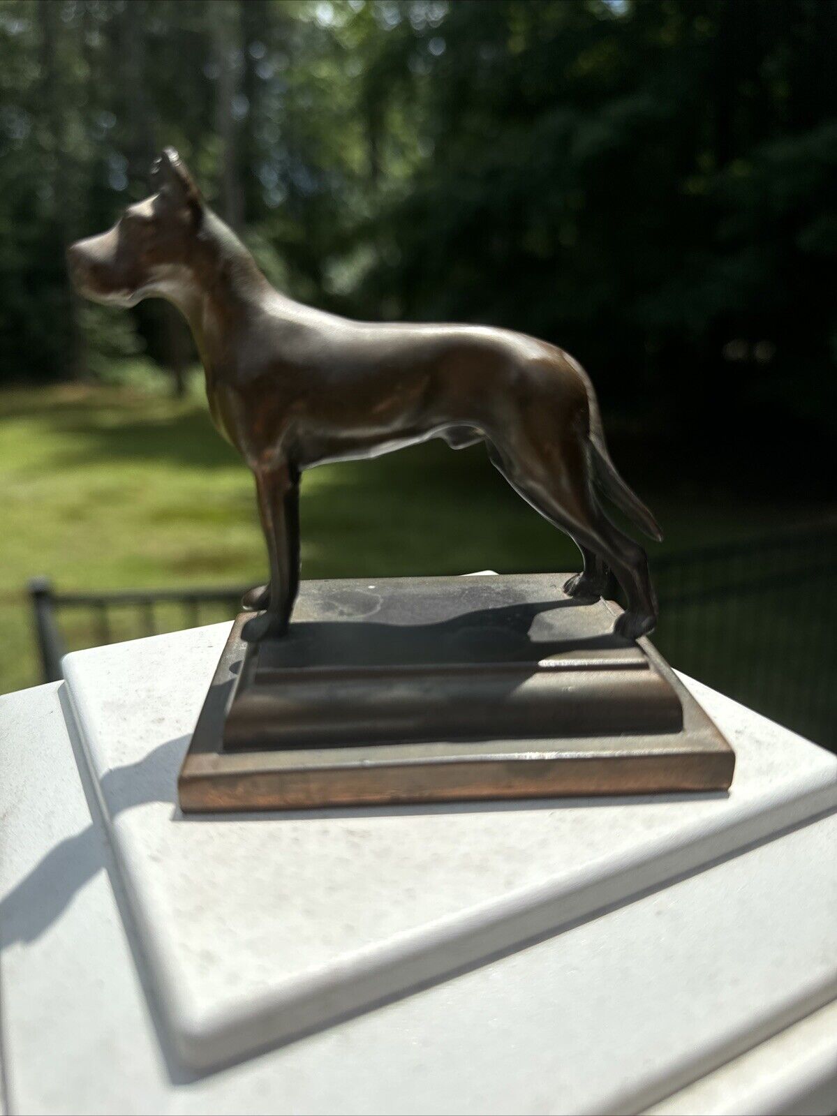 Bronze Vintage Great Dane Show Dog Figurine Statue Sculpture Collectible Antique