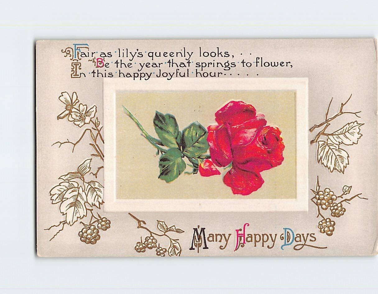 Postcard Many Happy Days Rose Flower Art Print Embossed Card