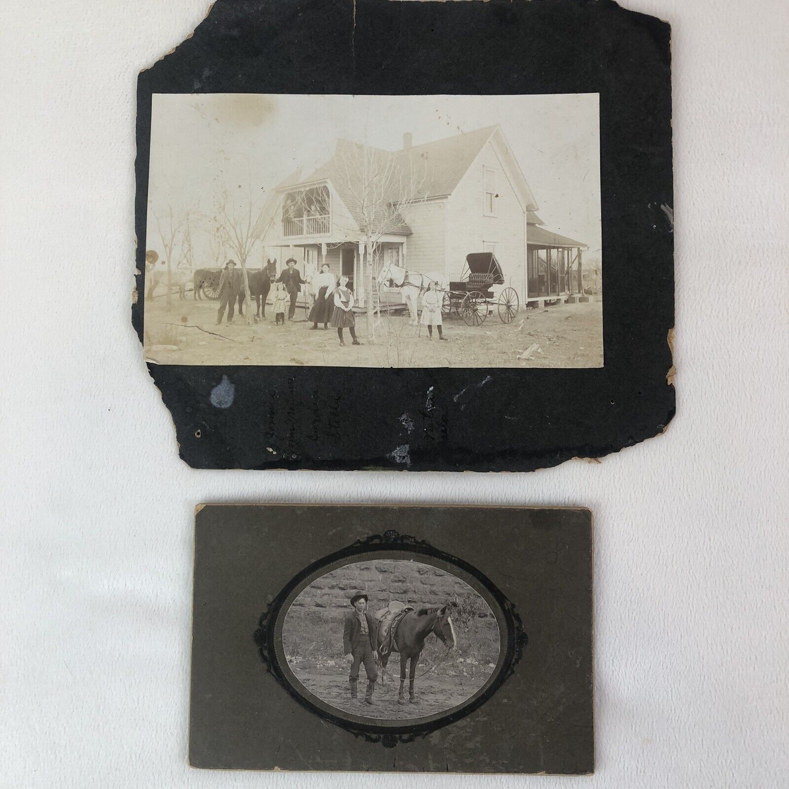 Antique Photographs of Horses Family w/ Horses and carriage. Young Man w/ Horse