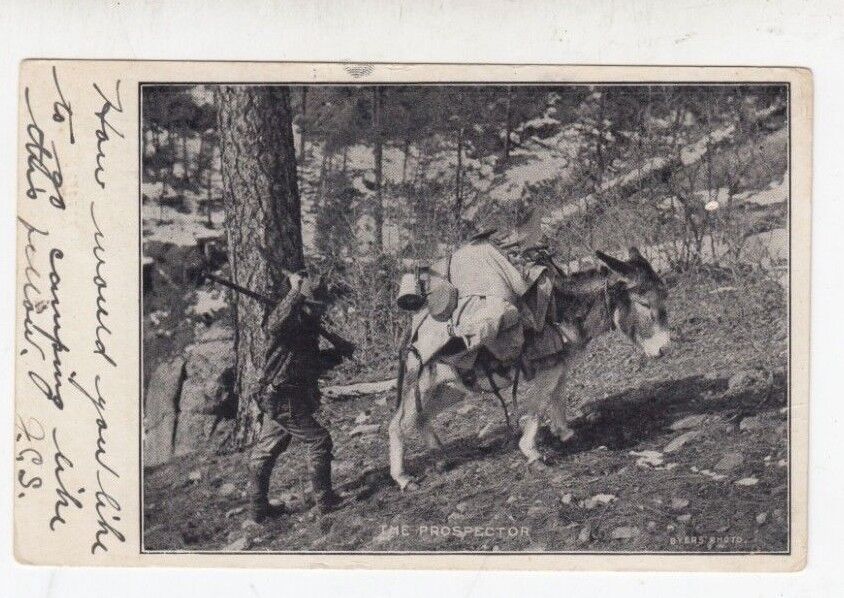 Antique Real Photo PC----1907~~ Byers Photo - Prospector and Mule Donkey , Colo 