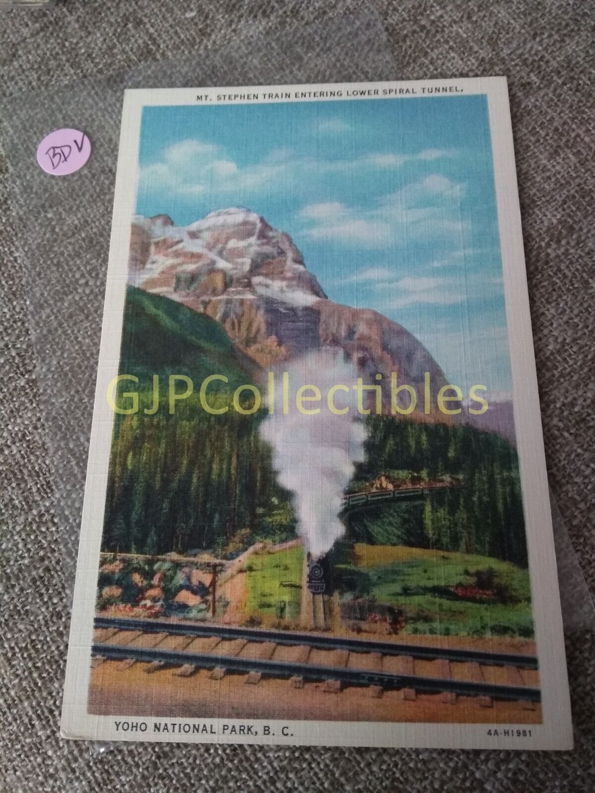 PBDV Train or Station Postcard Railroad RR YOHO NATIONAL PARK BC