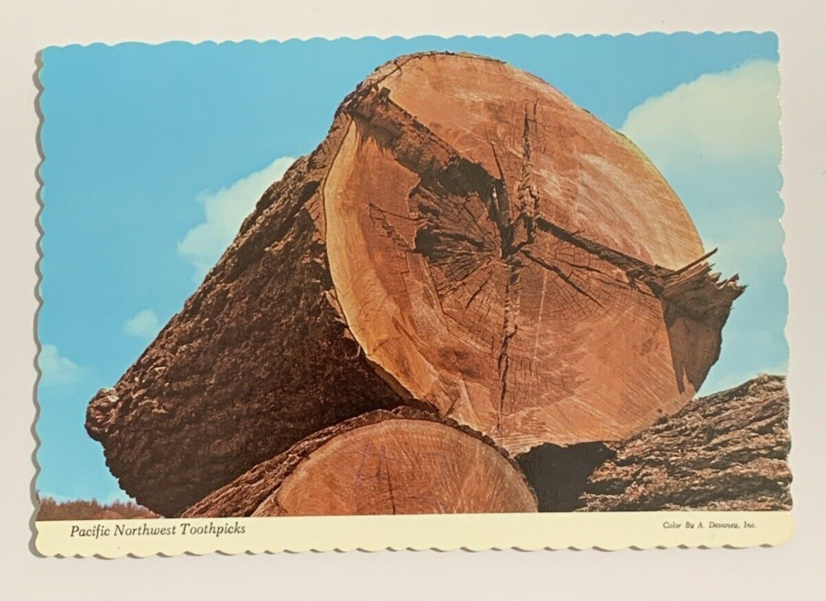 Pacific Northwest Toothpicks Giant Logs Postcard Unposted