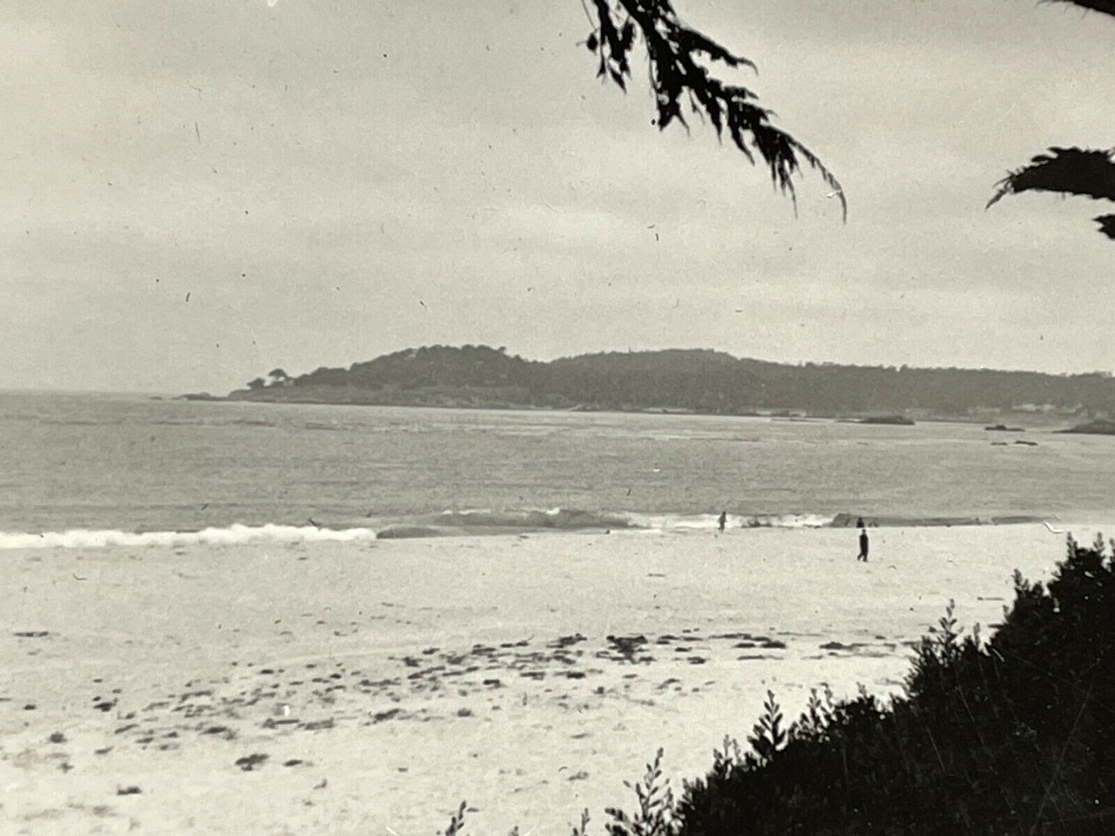 Y3 Photograph Carmel California 1951 Original Photo Beach Ocean Scene Artistic