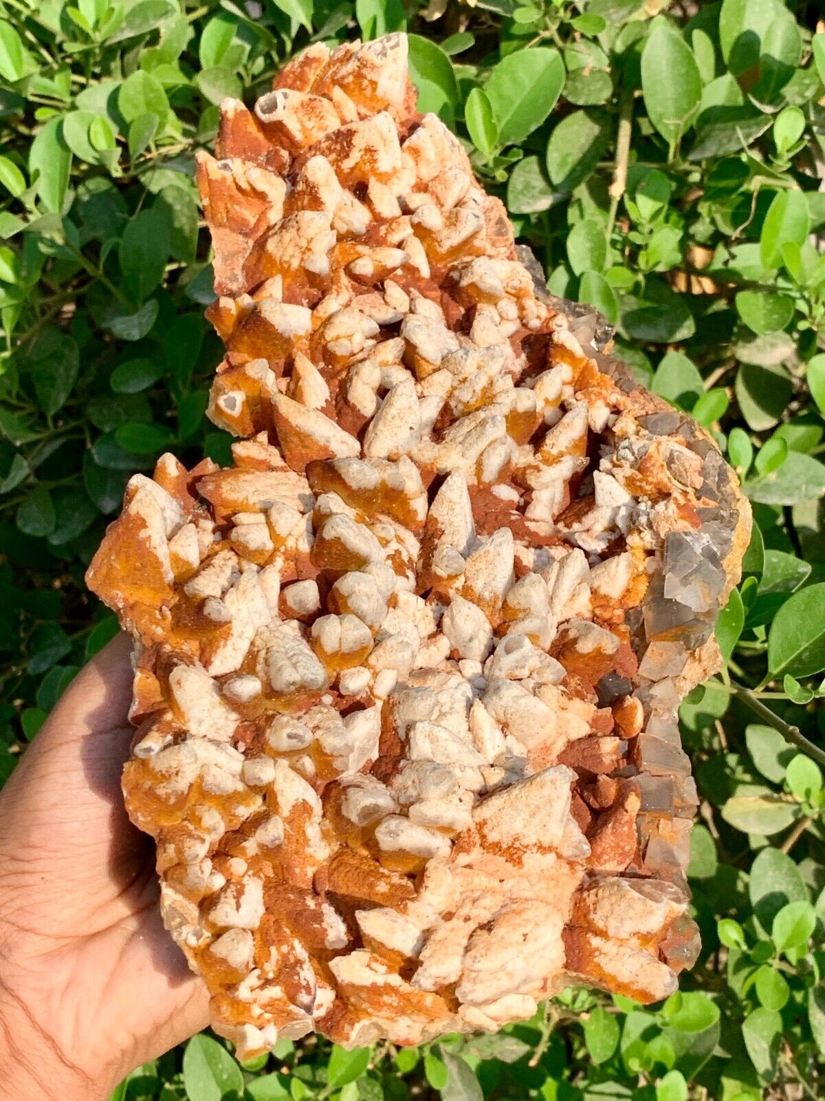 1.4kg Natural Gemstone Orange Dog Tooth Calcite Mineral Specimen Crystal