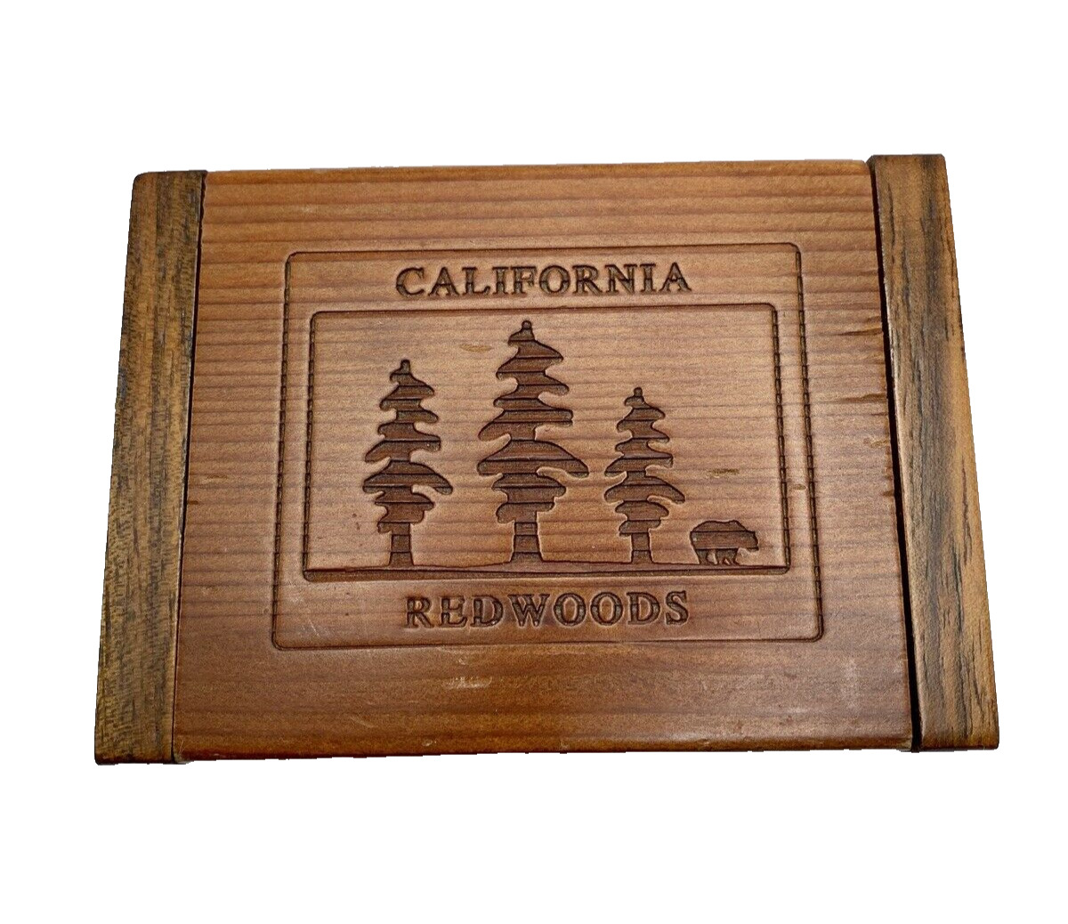 California Redwoods Trinket Box Tree Bear Jewelry Souvenir Keepsake Lodgecore