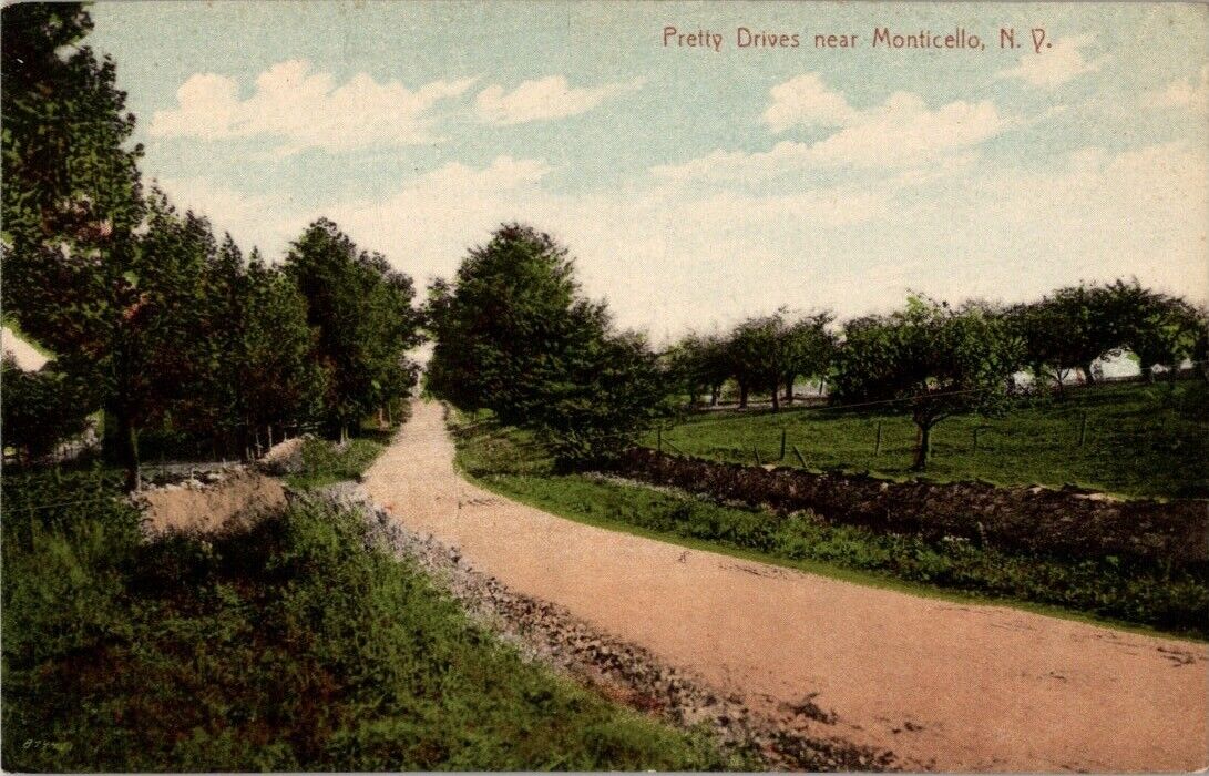 Pretty Drives Near Monticello NY New York Postcard Antique