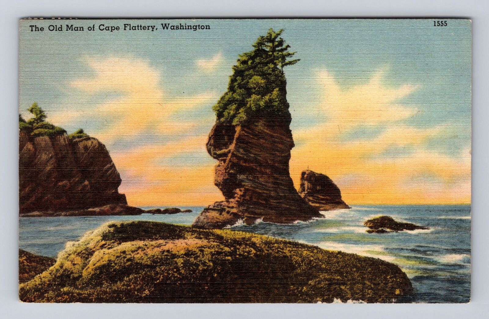 Cape Flattery WA-Washington, The Old Man, Antique, Vintage c1950 Postcard