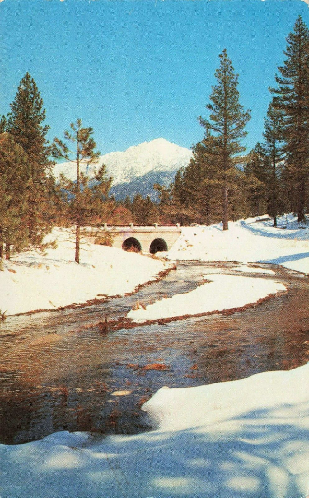 Postcard Strawberry Creek in Winter Idyllwild California Vintage Posted