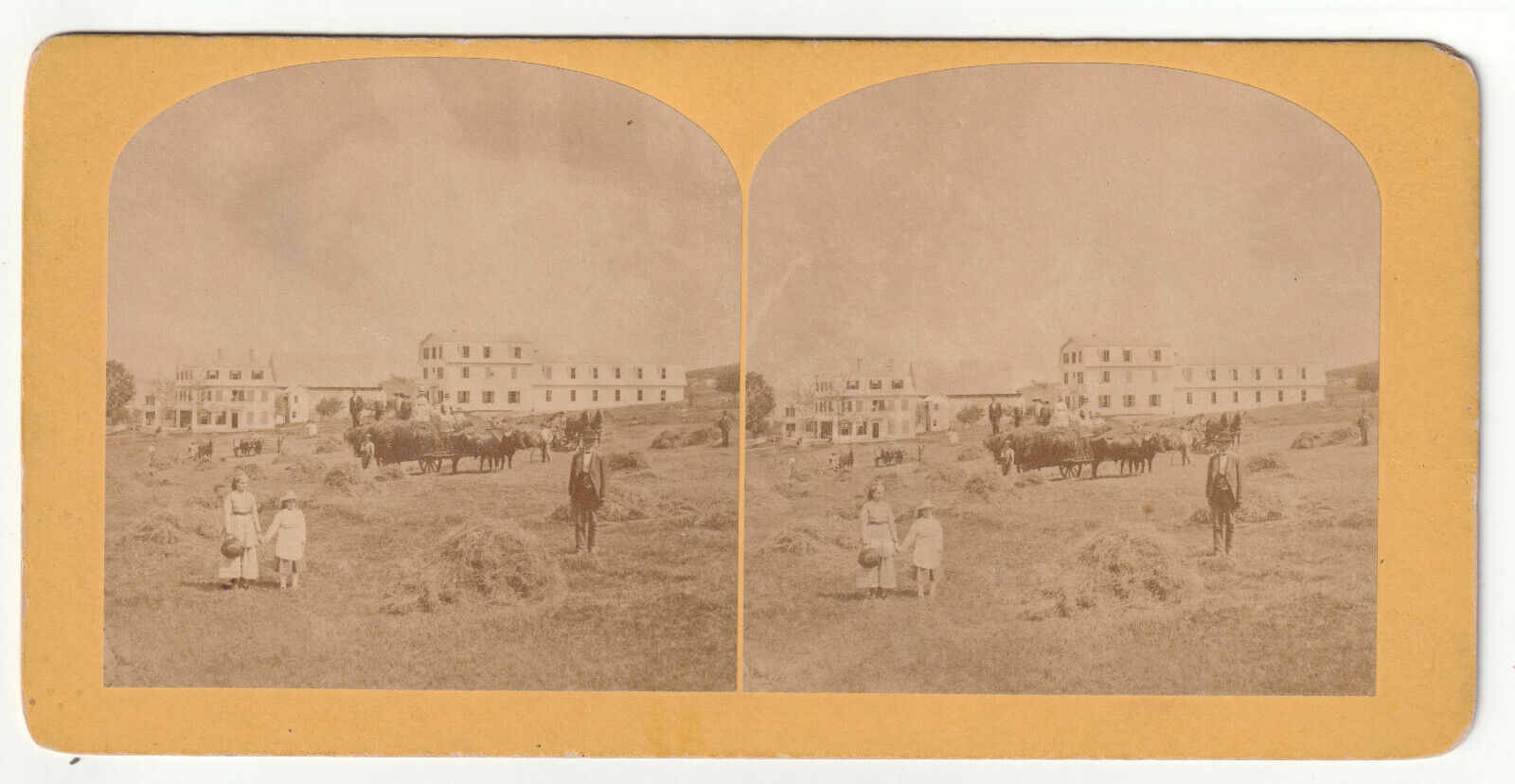 1884 MAPLEWOOD HOTEL - PEOPLE IDENTIFIED - HAY WAGON - BETHLEHEM WHITE MOUNTAINS