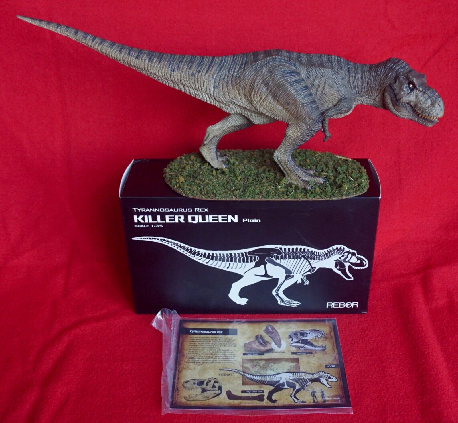 Rebor Tyrannosaurus Rex Killer Queen (Plain) on Base - 1/35 - w box & info card