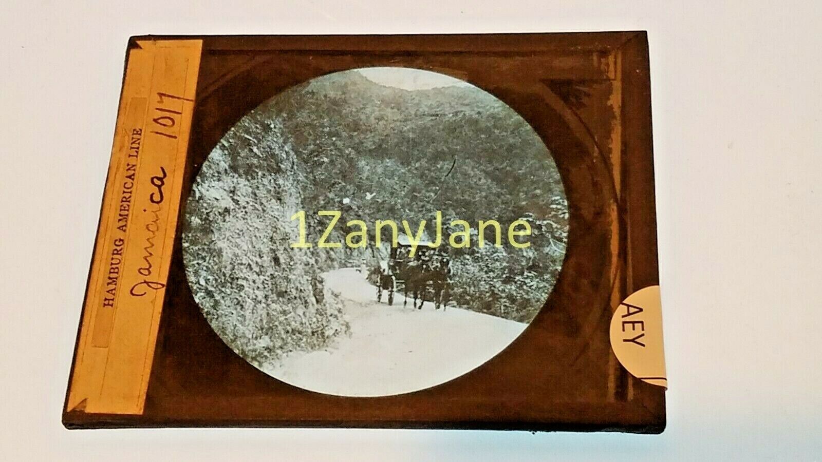 Glass Magic Lantern Slide  AEY JAMAICA COFFEE MOUNTAINS HORSE AND BUGGY