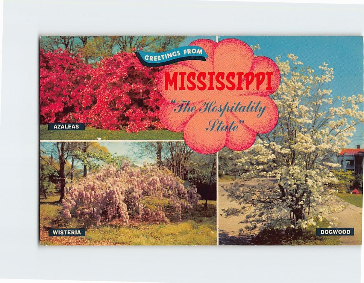 Postcard The Hospitality State Greetings From Mississippi USA