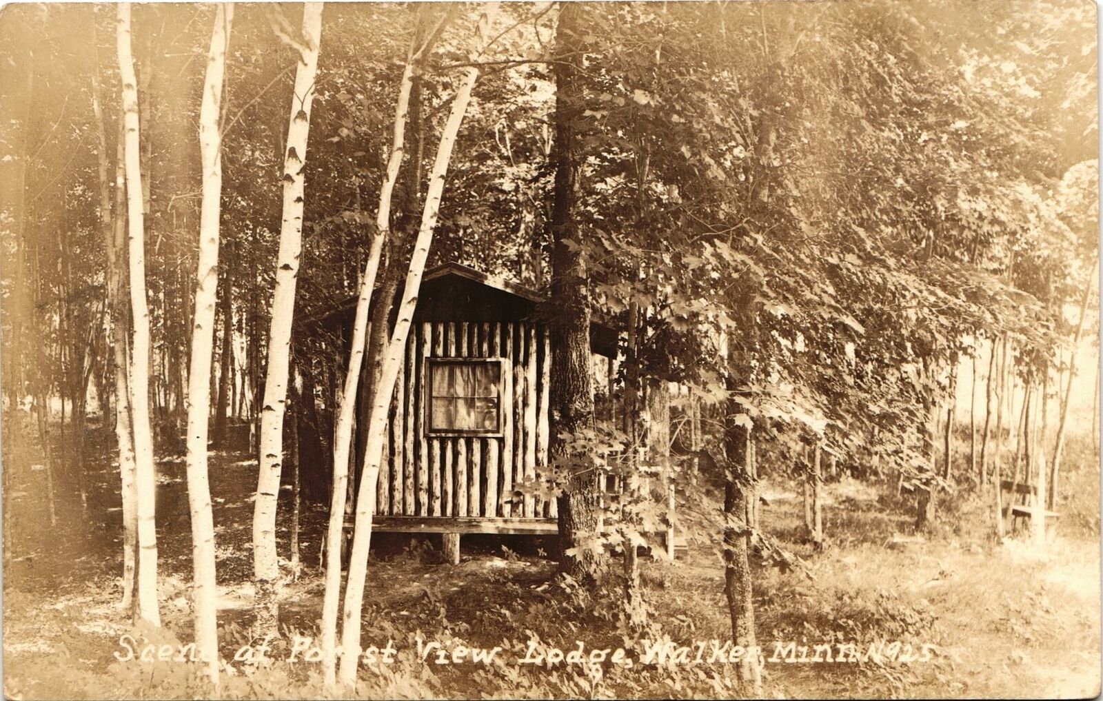 SCENE OF FOREST VIEW LODGE real photo postcard rppc WALKER MN 1931