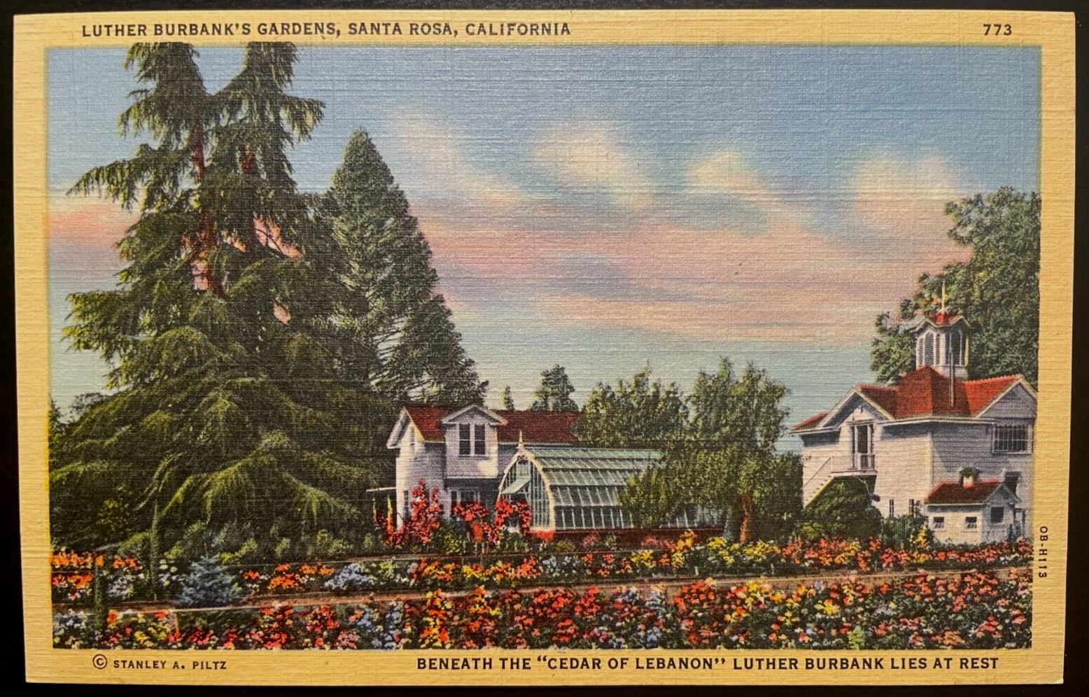 Vintage Postcard 1940 Luther Burbank\'s Gardens, Santa Rosa, California (CA)
