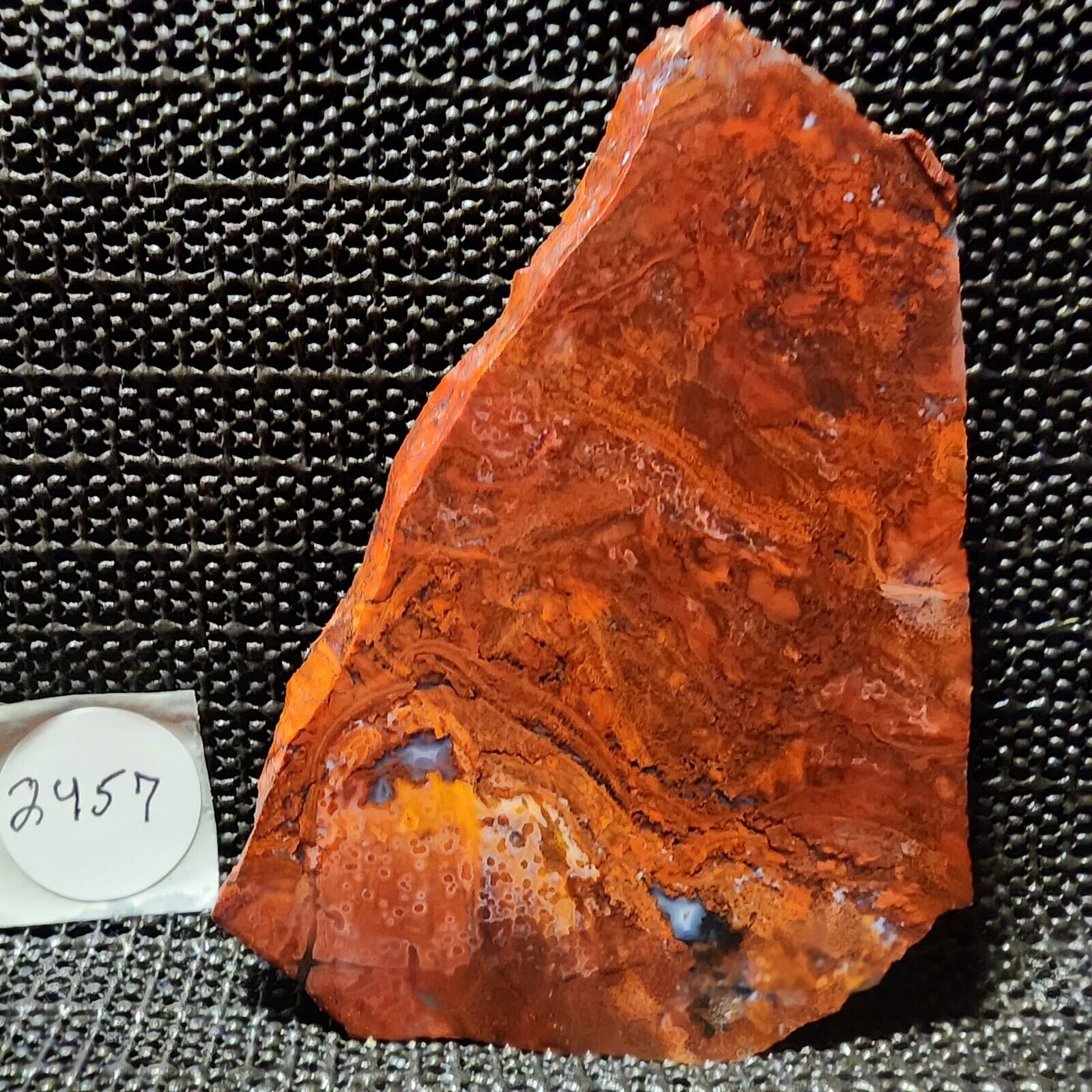 Stunning RARE, Rooster Tail Agate, Incredible Red/Orange Colors and Design, Mex