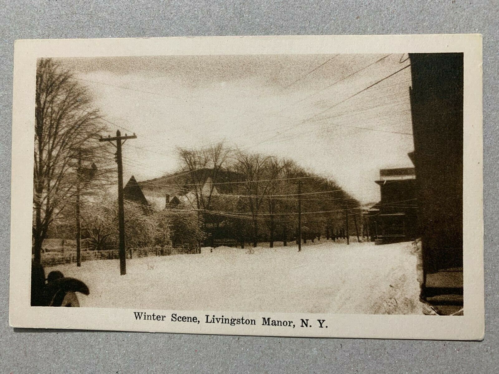 Postcard Livingston Manor NY - Winter Street Scene
