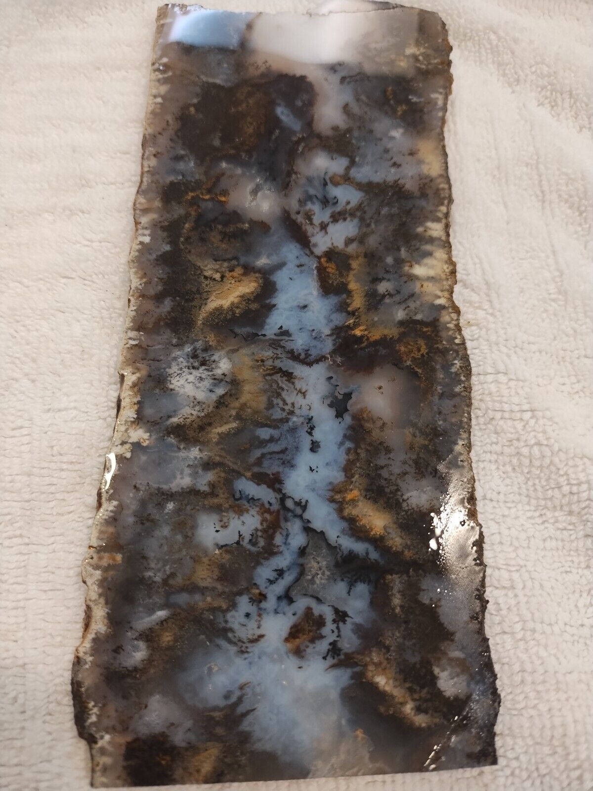 Long (7 3/4in) Plume Agate Slab, Graveyard Point (Must See: Truly Amazing slab)