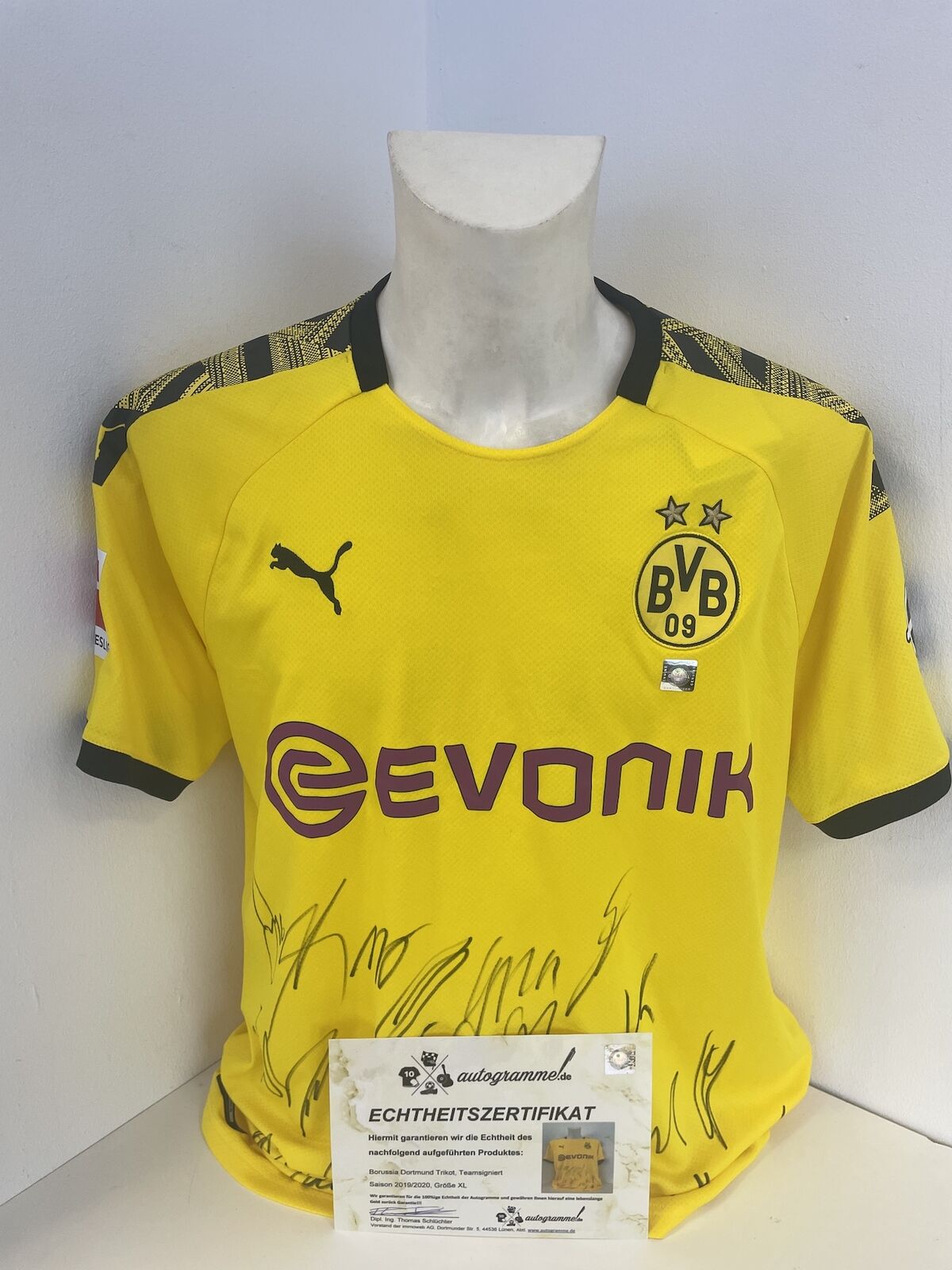 Bvb Jersey 2019/2020 Teamsigniert Borussia Dortmund COA Puma XL