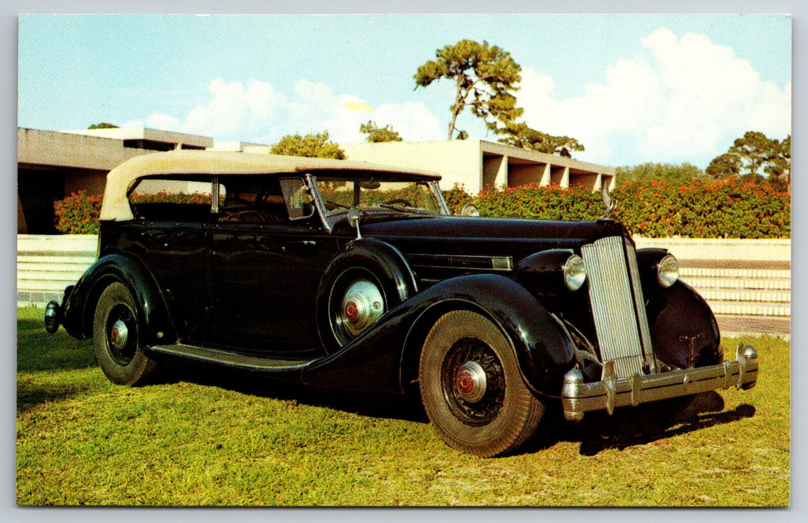 Vintage Postcard Car 1936 Packard Phaetom V12 Detroit MI Chrome ~13097